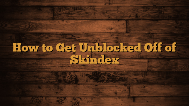 Read more about the article How to Get Unblocked Off of Skindex