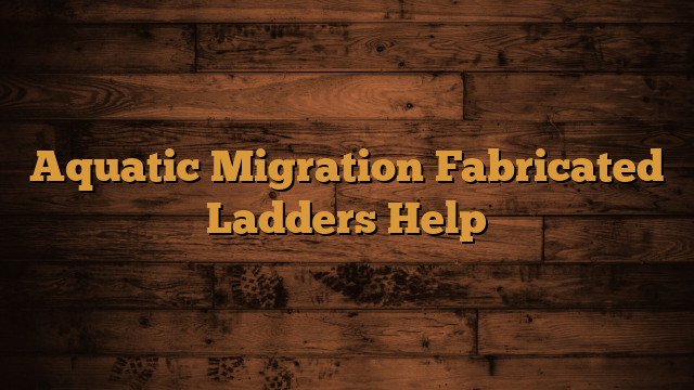 Read more about the article Aquatic Migration Fabricated Ladders Help